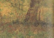 Vincent Van Gogh Undergrowth (nn04) Germany oil painting artist